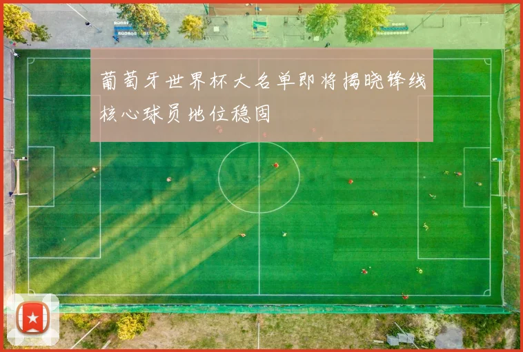 葡萄牙世界杯大名单即将揭晓锋线核心球员地位稳固